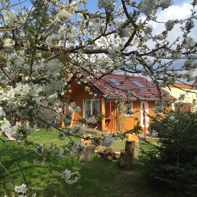 Ferienwohnung Niesky Camera foto